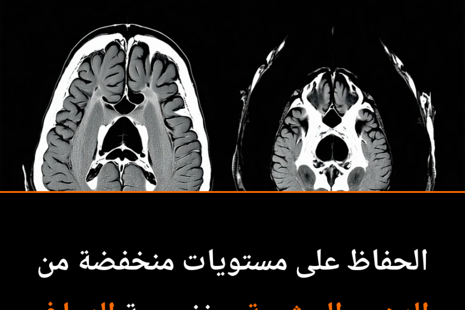 ¿Las Grasas Ocultas en tu Abdomen Podrían Estar Afectando tu Cerebro?