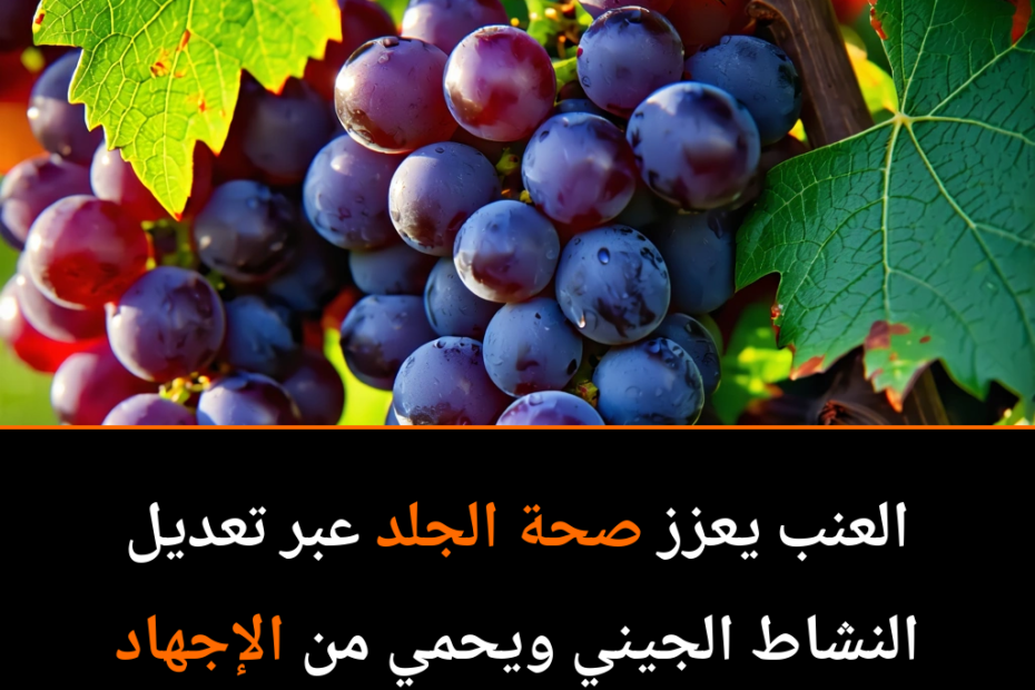 ¿Puede el secreto de una piel radiante estar en las uvas?
