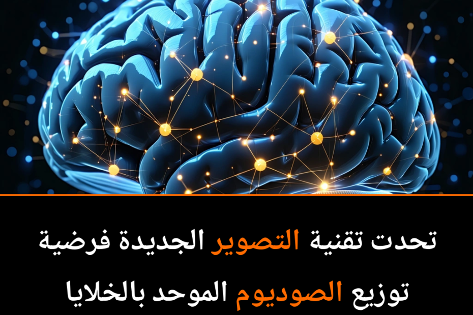 ¿Podría el Sodio Ser la Clave Oculta del Cerebro?
