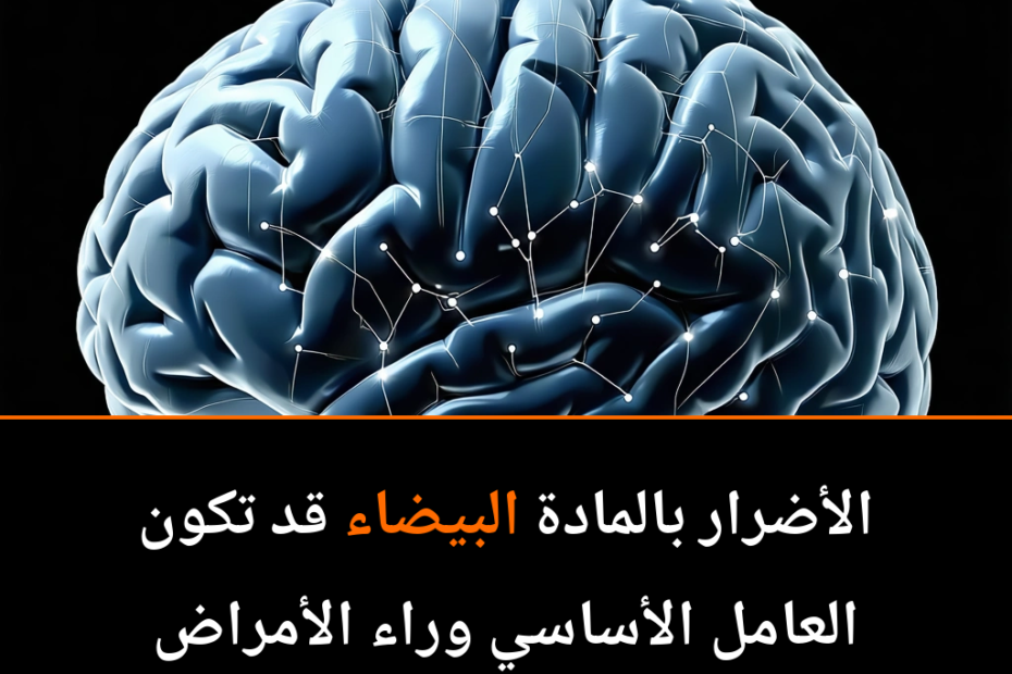 ¿La clave del Alzheimer y Parkinson está en la materia blanca del cerebro?