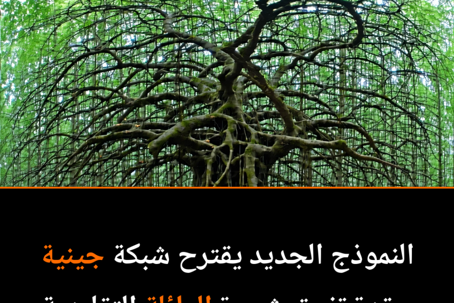 ¿Es nuestra historia evolutiva una red en lugar de un árbol?
