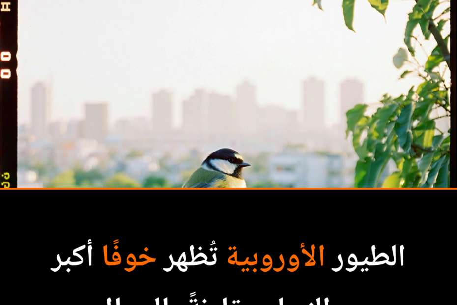¿Por qué las aves europeas temen más a las mujeres que a los hombres?