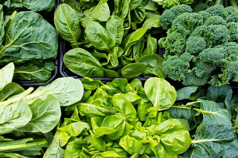 ¿Puede la Dieta Rica en Verduras Proteger Nuestro Cerebro del Envejecimiento?
